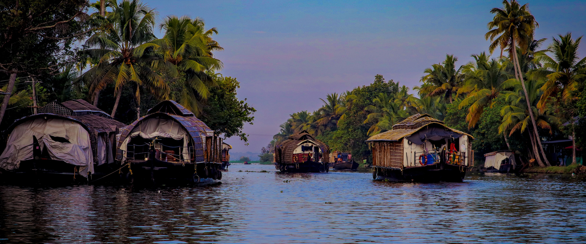 alleppey tour