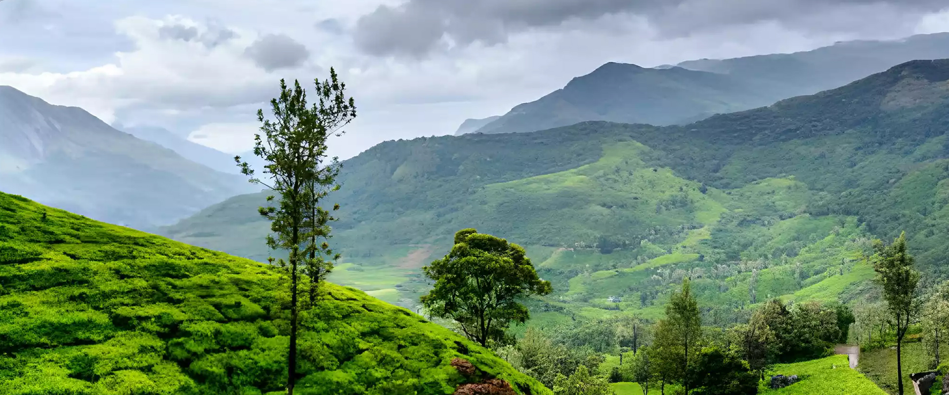 Wayanad 1