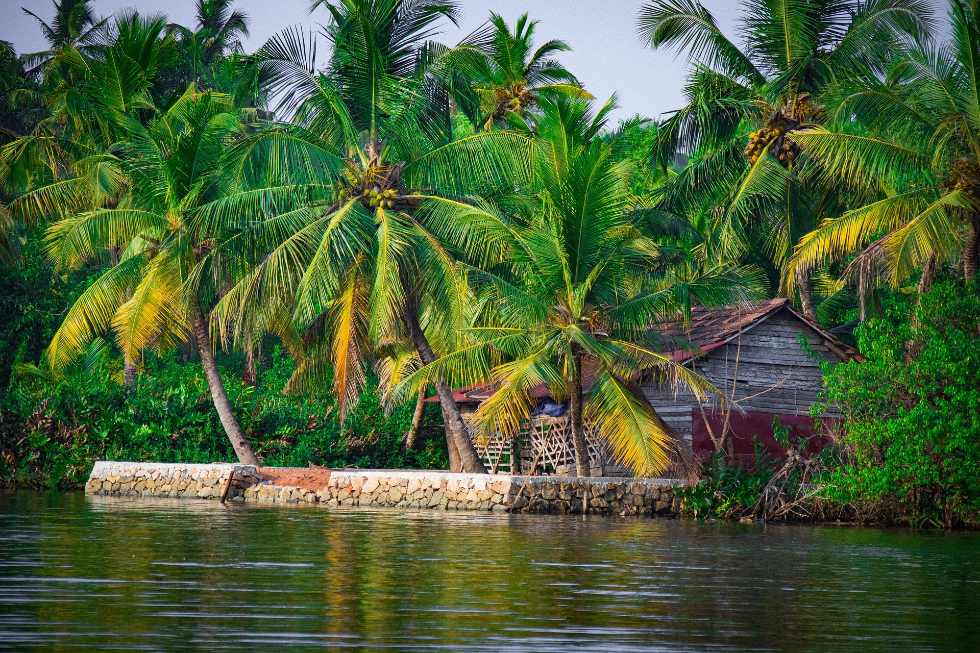 sanoojck-hut-7032759_1920